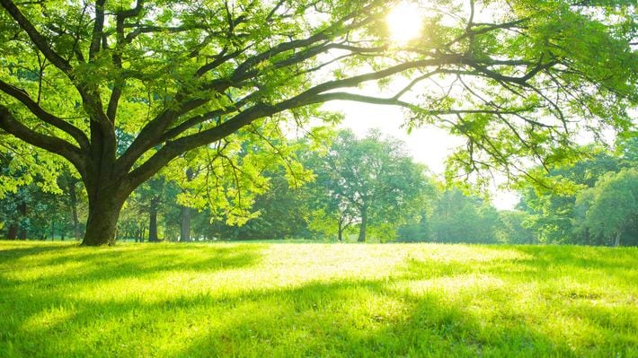 「地域のつながり」には意外な効果があった…京都大学教授らの研究で判明「住んで幸福になりやすい町」の特徴