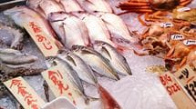 スーパーの魚売り場とは正反対…｢店員が多すぎる魚屋･角上魚類｣が繁盛する3つの理由