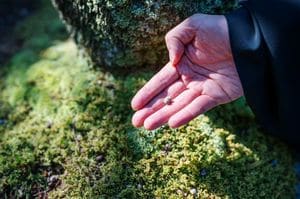 手のひらの上に種子