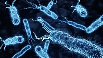 ｢血液型で病気リスクがこんなに違う｣新型コロナに強いがコレラとピロリ菌に罹りやすい血液型とは