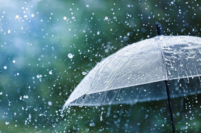 水滴に対する雨の下で透明傘