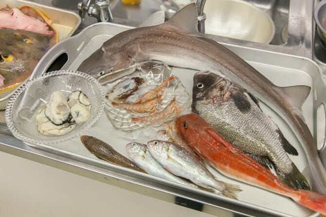 ホシザメ、ヒゲソリダイ、カナガシラ、シログチ……。未利用魚も含め倉橋島の魚介をふんだんに使いました。
