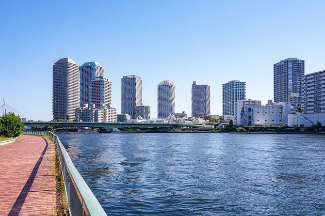 晴れ秋の隅田川 明石町カシ公園