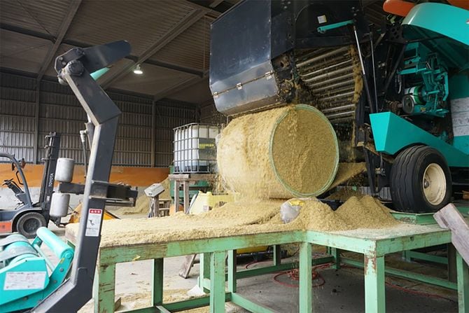 ロール状に成型された笹サイレージ