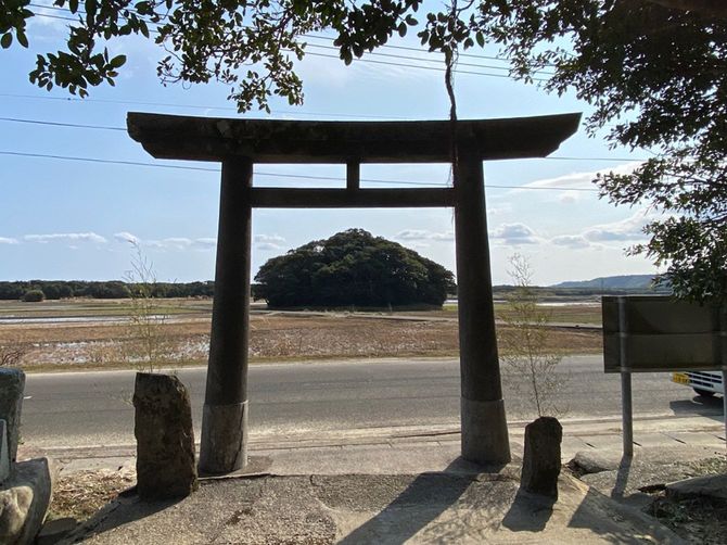 種子島の南部には原始神道を彷彿とさせる「ガロー」と呼ばれる自然信仰の森が存在する