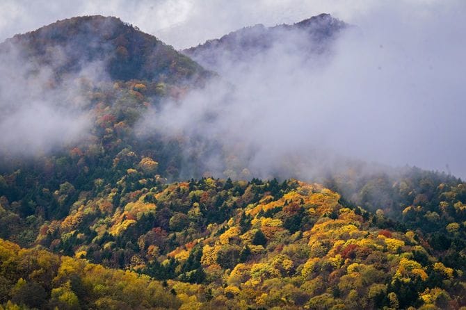 葉に色が付き、本州よりも早い冬の訪れを感じさせる10月の富良野
