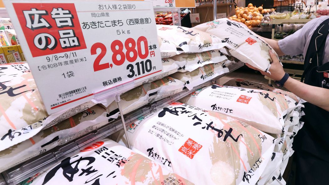コメ高騰を｢JAと農水省のせい｣で終わらせていいのか…価格が下がった今､現役農家が問う犯人探しの危うさ
