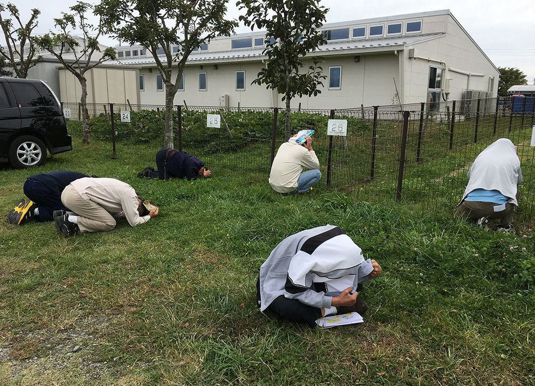 "Jアラート"に地方テレビ局が喜んだワケ 「語るに落ちた」メディアの現状