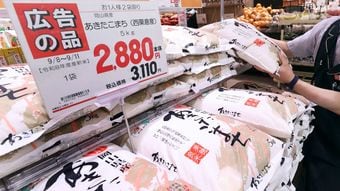 コメ高騰を｢JAと農水省のせい｣で終わらせていいのか…価格が下がった今､現役農家が問う犯人探しの危うさ