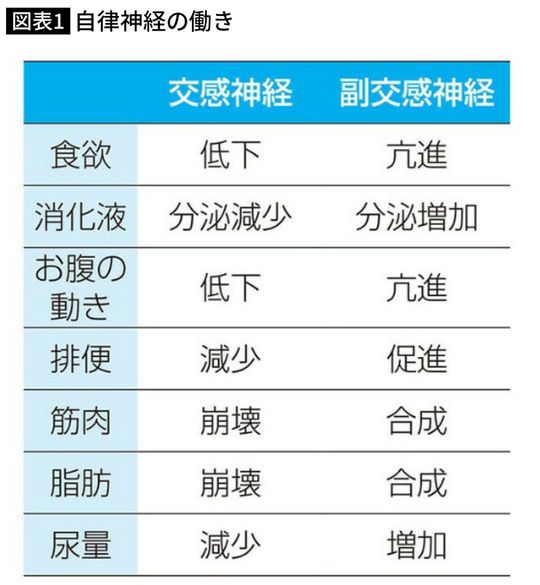自律神経の働き