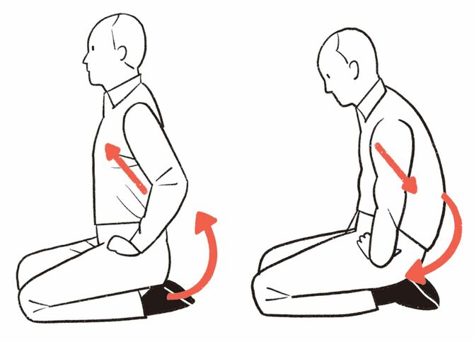 胸骨と骨盤の連動させる正座のイラスト。良い姿勢と正しい猫背の切り替えによって、骨格の感覚が掴めるようになる