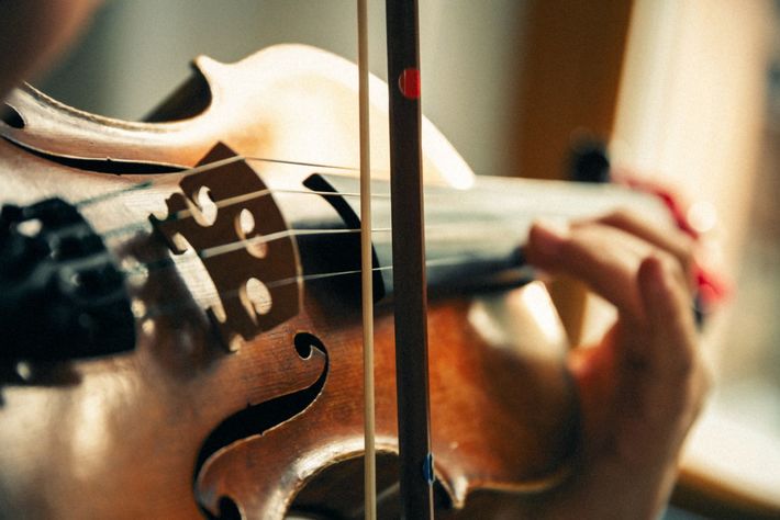 ※写真はイメージです