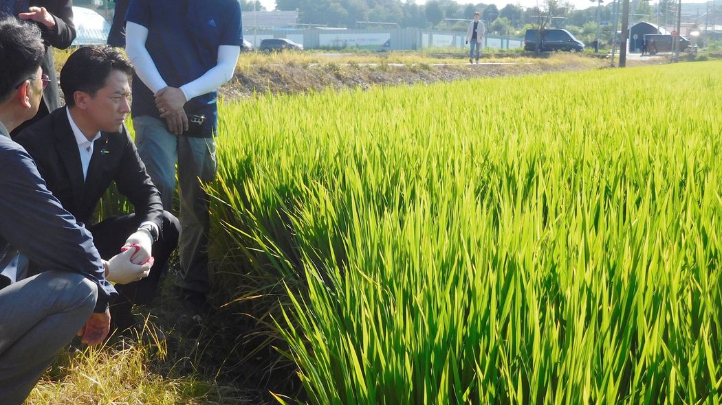 JAの高笑いが聞こえてくる…新米｢5kg7800円｣でもコメ増産を許さない自民党｢小泉包囲網｣のキーパーソン ひそかに権力の座に返り咲いた族議員とは