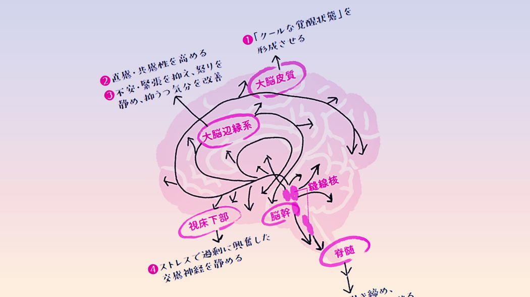 これが不足するとメンタル不調に陥る…医師が勧める"幸せホルモン"セロトニンを増やす起床直後の新習慣 日々の｢セロ活｣は4つの生活習慣から