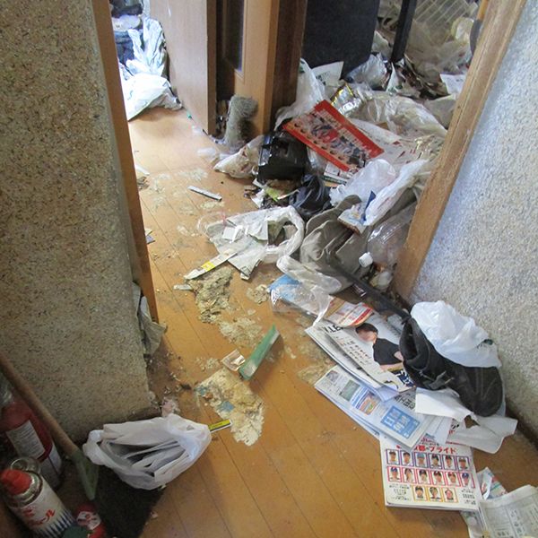 2センチの虫が数千匹 ゴミ屋敷で暮らす公務員男性の不気味な依頼 取材記者 最もキツい現場だった President Online プレジデントオンライン