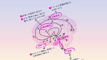これが不足するとメンタル不調に陥る…医師が勧める"幸せホルモン"セロトニンを増やす起床直後の新習慣