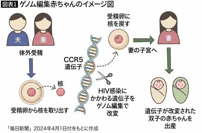 【図表1】ゲノム編集赤ちゃんのイメージ図
