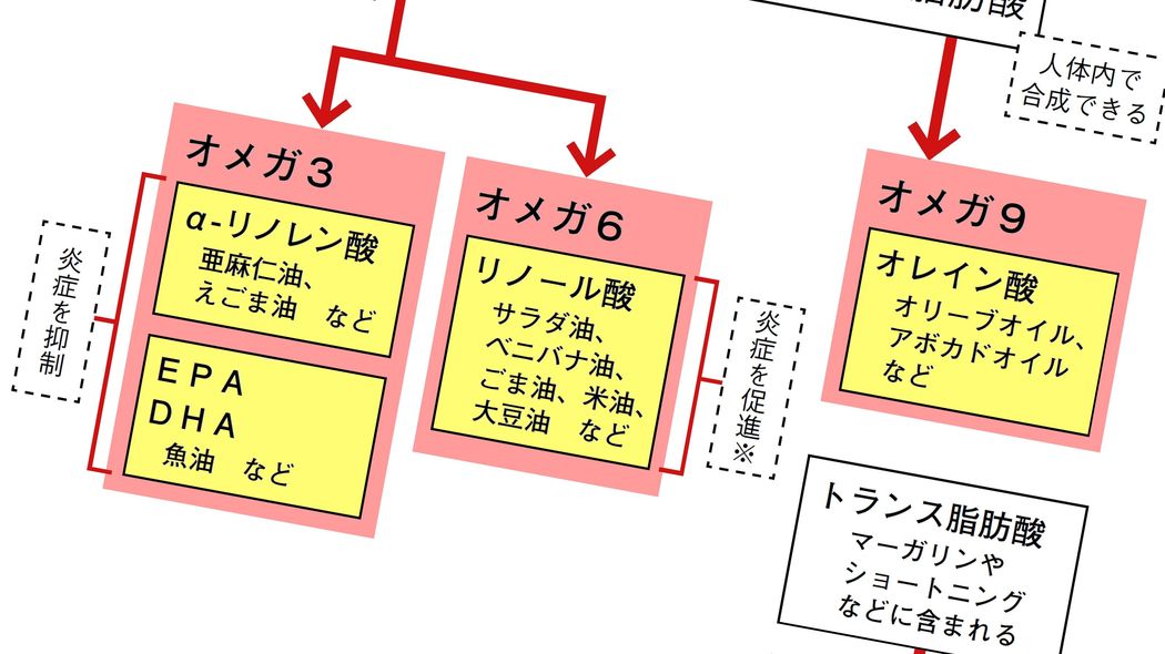 ｢油は太るし体に悪い｣は古すぎる…管理栄養士が教える｢60歳から体も脳も生まれ変わる"油の種類"｣ ポイントは｢動物性｣か｢植物性｣かではない