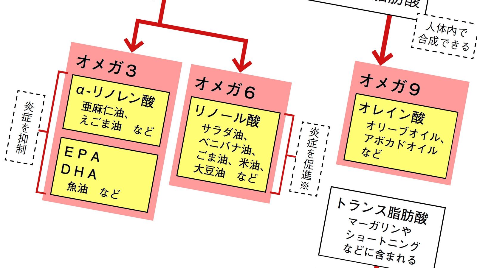 ｢油は太るし体に悪い｣は古すぎる…管理栄養士が教える｢60歳から体も脳も生まれ変わる"油の種類"｣ ポイントは｢動物性｣か｢植物性｣かではない