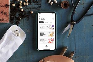 専属アシスタントに依頼できる内容は多岐にわたる。