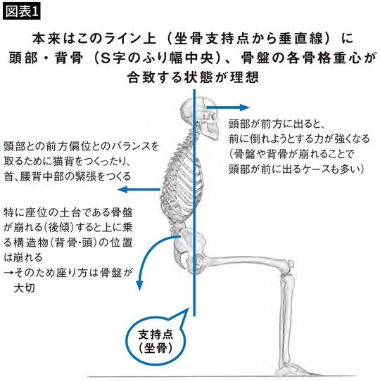 【図表1】本来はこのライン上(坐骨支持点から垂直線)に頭部・背骨(S字のふり幅中央)、骨盤の各骨格重心が合致する状態が理想