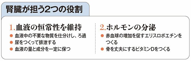 【図表】腎臓が担う2つの役割