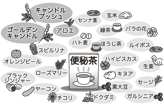 『男の便秘、女の便秘』より