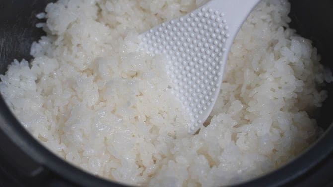 タイガーは想像以上にしっかりした噛み応え