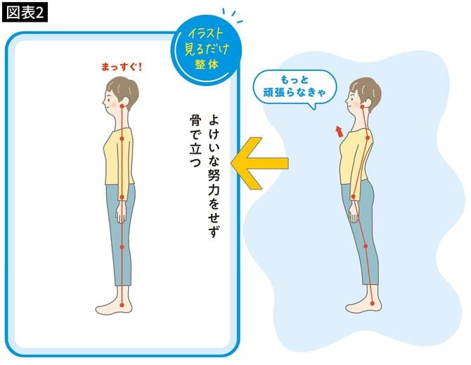 【図表2】よけいな努力をせず骨で立つ