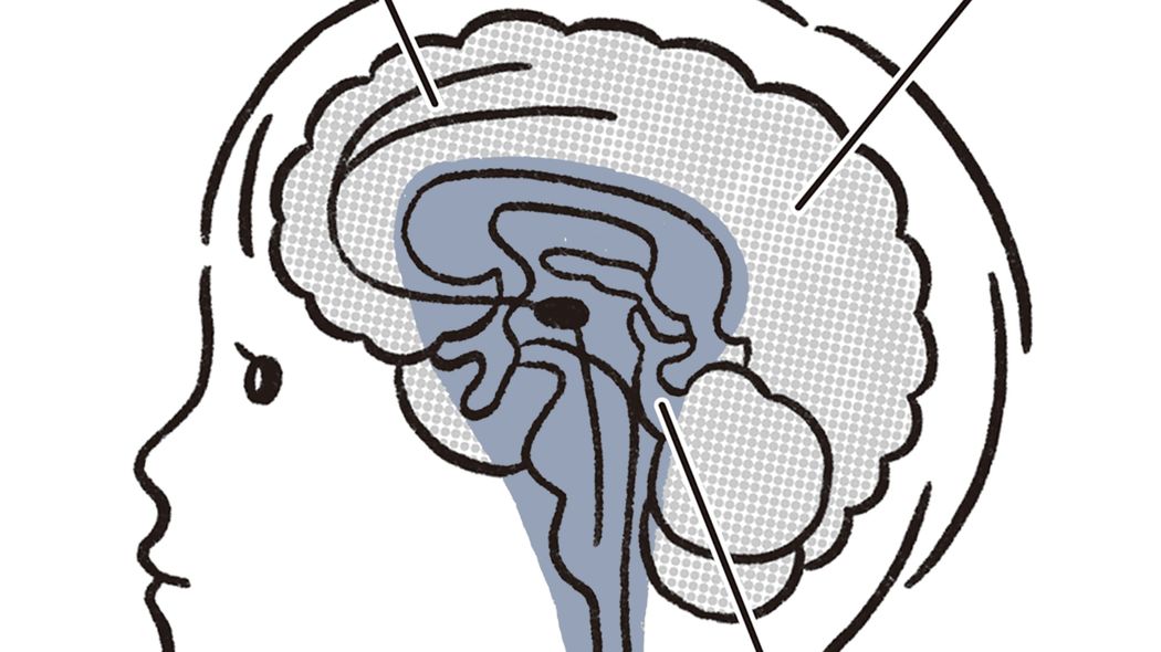 ｢3歳から英語を習わせる｣は百害あって一利なし…｢詰め込み式教育｣がわが子にもたらす怖すぎるリスク 早期教育は脳を｢アンバランスな状態｣にする