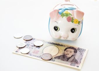 独身だからか、コツコツお金を貯めることができないのが悩みです