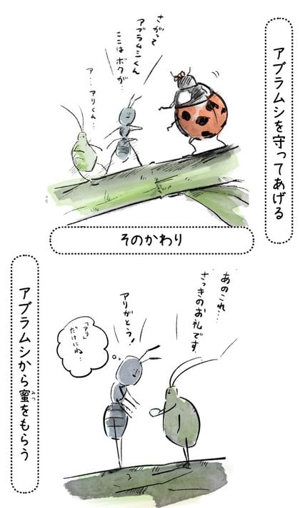 アブラムシとクロオオアリは「ギブ アンド テイク」