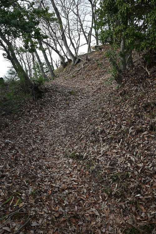 朝倉氏が築いた塁が曲げられた土塁と横堀。