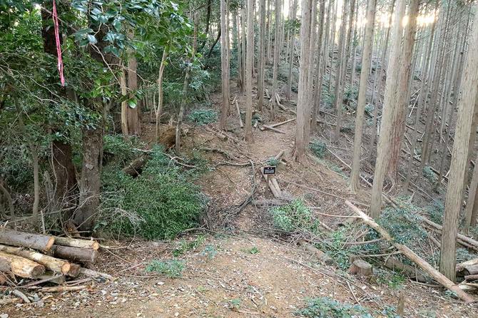 畝状竪堀の上から。看板の先の尾根状もデコボコしている