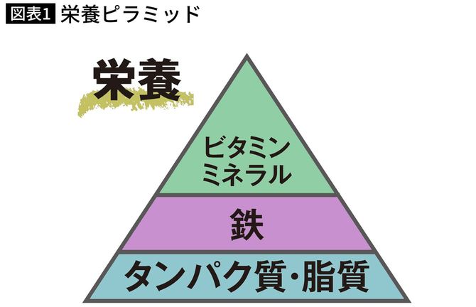 栄養ピラミッド