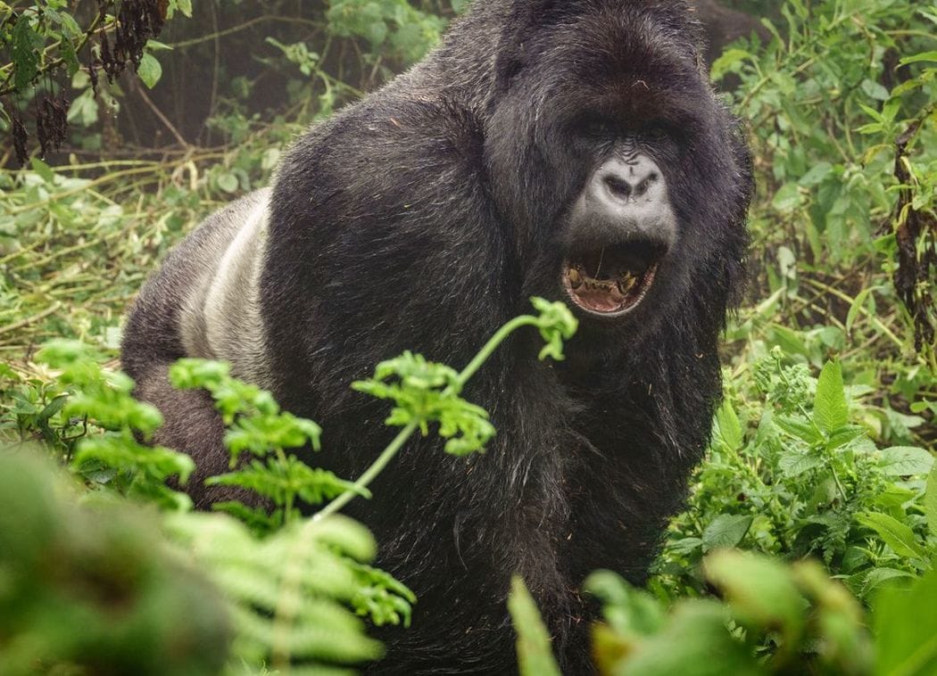 "中途半端なエリート"ほど不幸になる理由 相対評価に軸を置いてはいけない