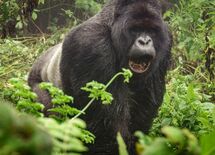 "中途半端なエリート"ほど不幸になる理由