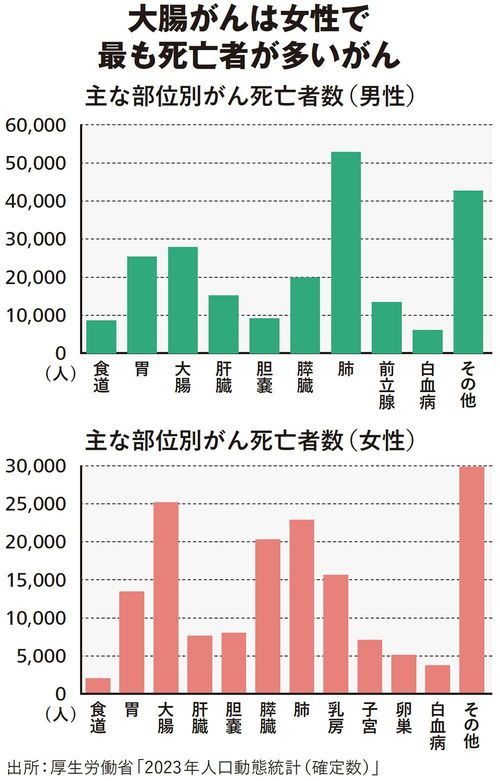 主な部位別がん死亡者数