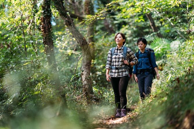 自然の中で一緒にハイキング