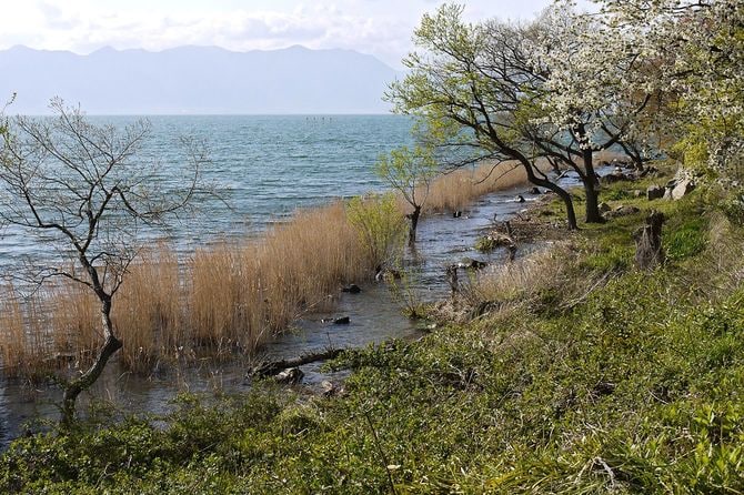 琵琶湖中部湖岸（琵琶湖国定公園第2種特別地域）、滋賀県近江八幡市長命寺町にて