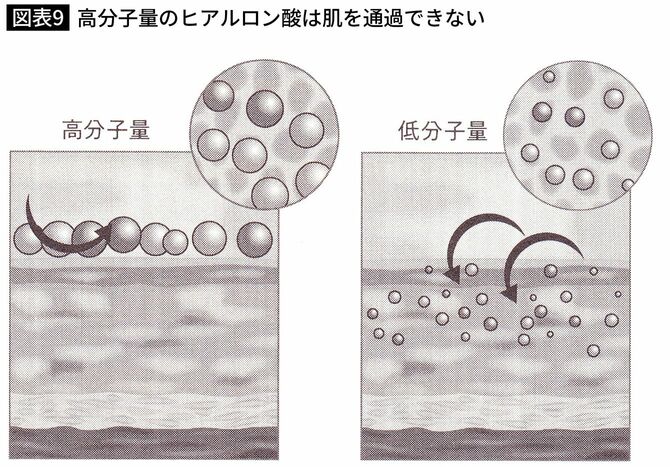 【図表9】高分子量のヒアルロン酸が肌を通過できない仕組み