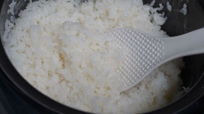 象印は柔らかく、やさしい味