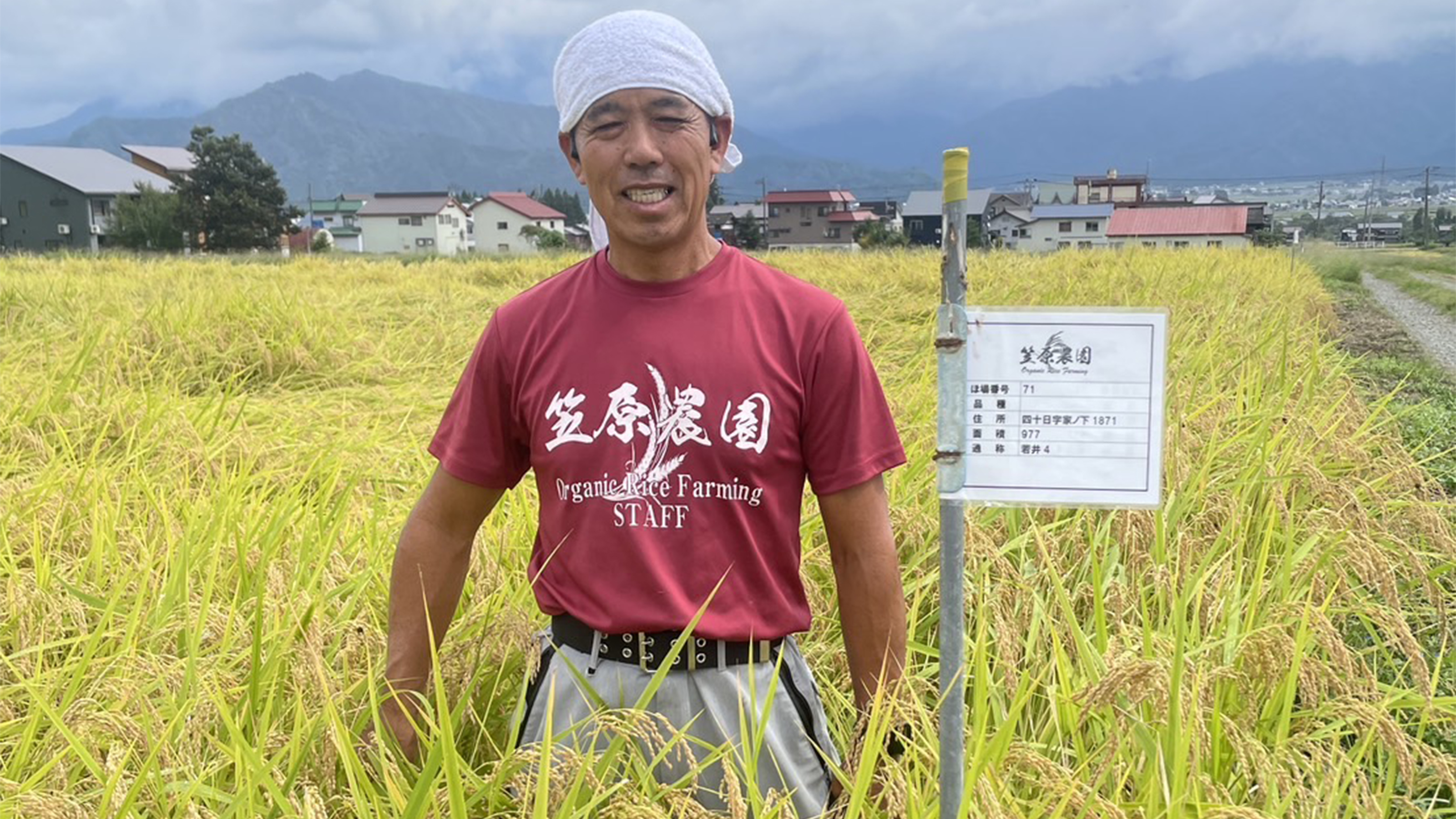 5キロ4000円｣の高級米を安く買い叩かれる…｢初の品薄｣に直面した魚沼の農家が農協に卸すのをやめた理由 高齢化と減反政策で農家も問屋も倒産している  | PRESIDENT Online（プレジデントオンライン）