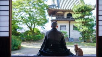 もし禅宗の僧侶が､余命一年を宣告されたら…動揺が去った後に真っ先に考えた｢残り365日の過ごし方｣