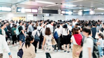 国立大卒業生の外資への就職､その背景にある日本の｢保守性｣