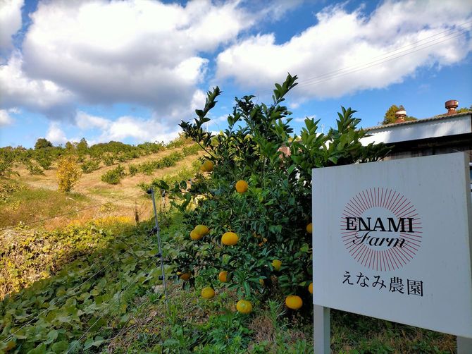 えなみ農園の場所を知らせるささやかな看板