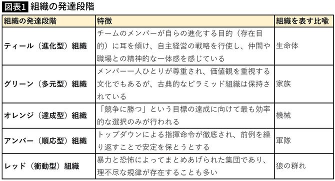組織の発達段階