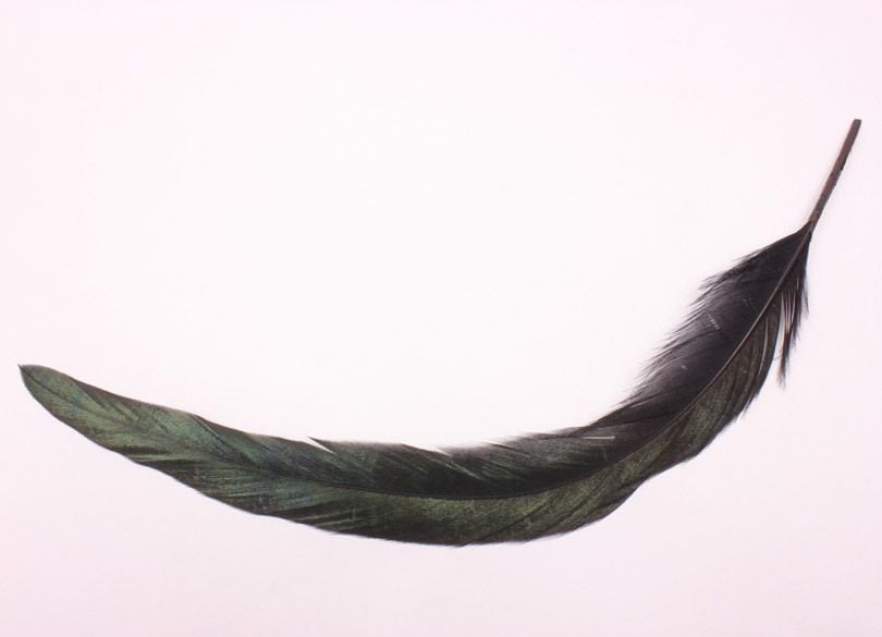 なぜ、賢いワルはボロ儲けの手口を次々に発案できるのか？