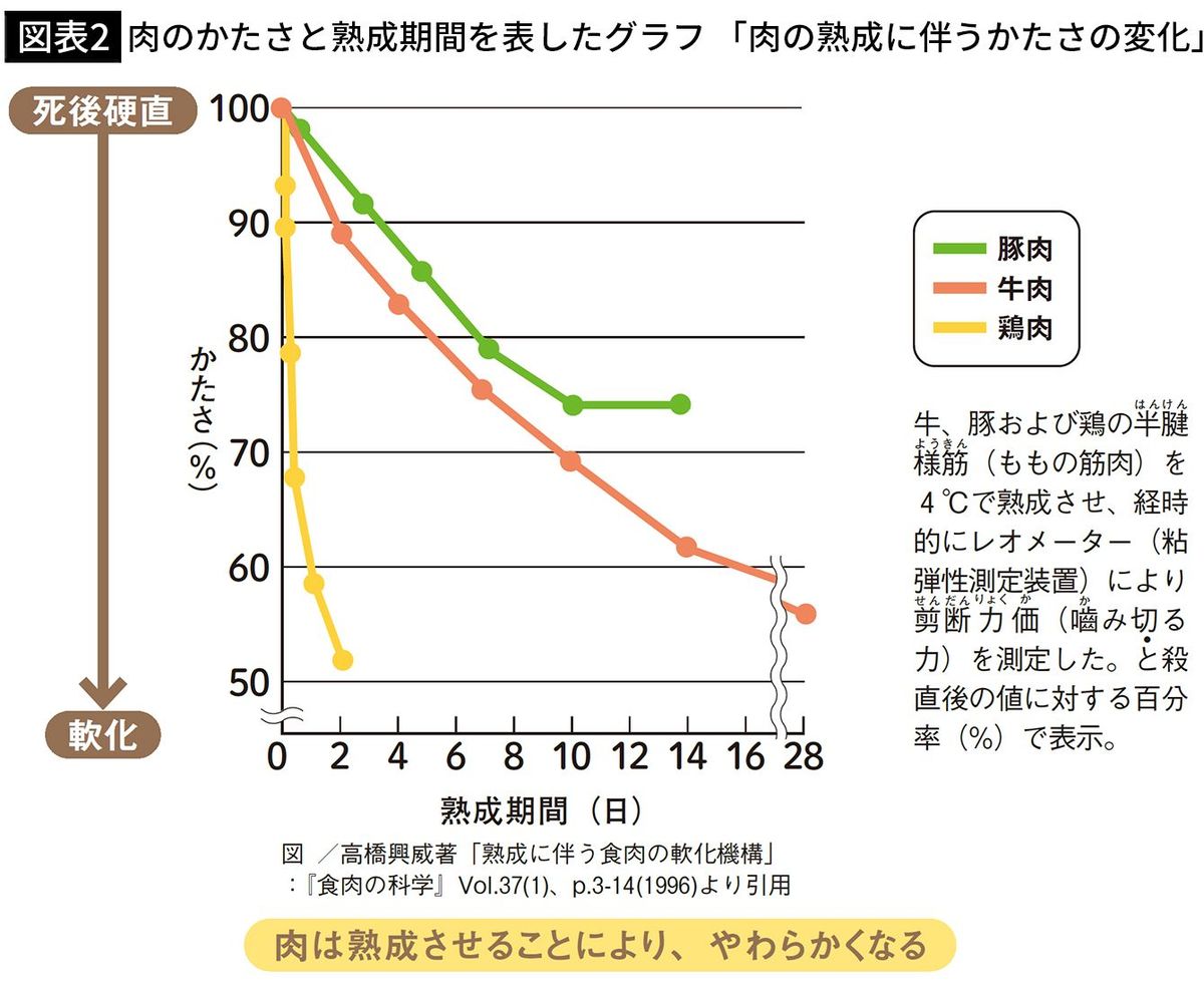 【図表2】肉のかたさと熟成期間を表したグラフ　「肉の熟成に伴うかたさの変化」