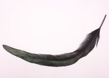 なぜ、賢いワルはボロ儲けの手口を次々に発案できるのか？